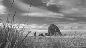 Haystack in B&W